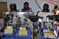 Les images du Projet